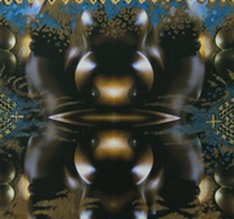 Felina Wood actress image