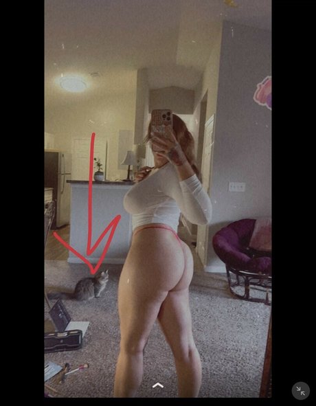 Maggielifts star free photos