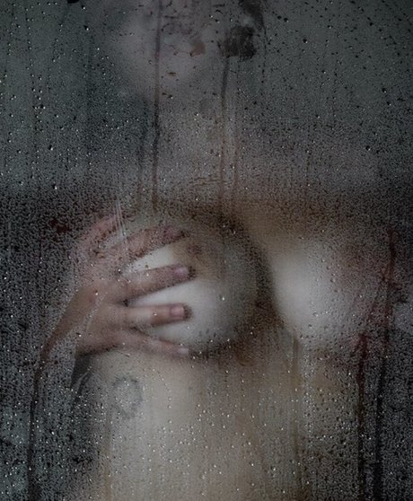 Lindolinaaa best model img