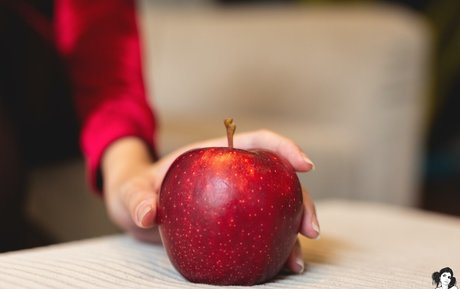 Wingsweak star art gallery