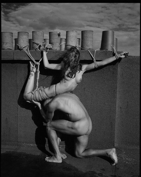 Cerise4444 pornstar exclusive image