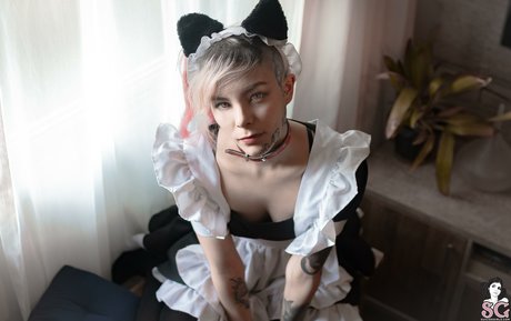 Tinta Nankin star perfect gallery