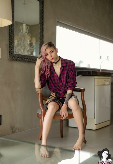 Tinta Nankin star hd images