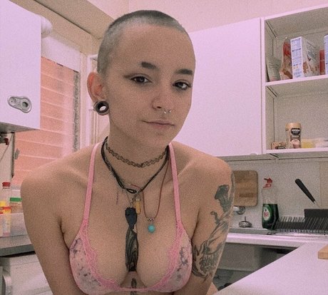 covergore 666 model hd archive