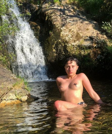 Laubrasil star nice gallery