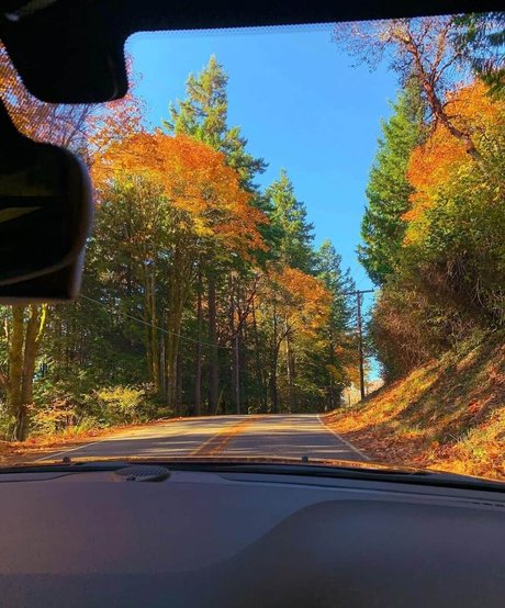 silicone onlyfans hot galleries