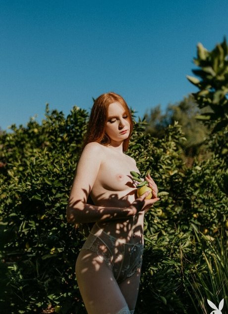 lingerie nude onlyfans free naked pics