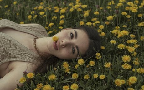 lisa milashka_ model pornographic archive