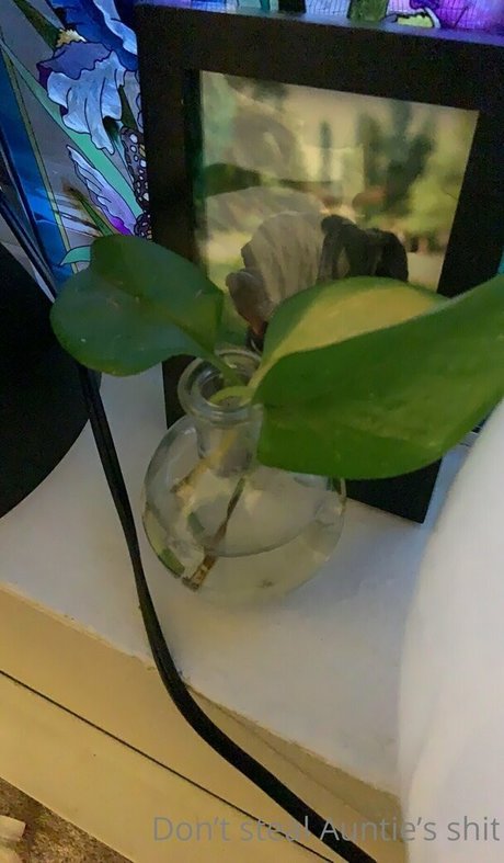 collzorgs pornstar naked archive