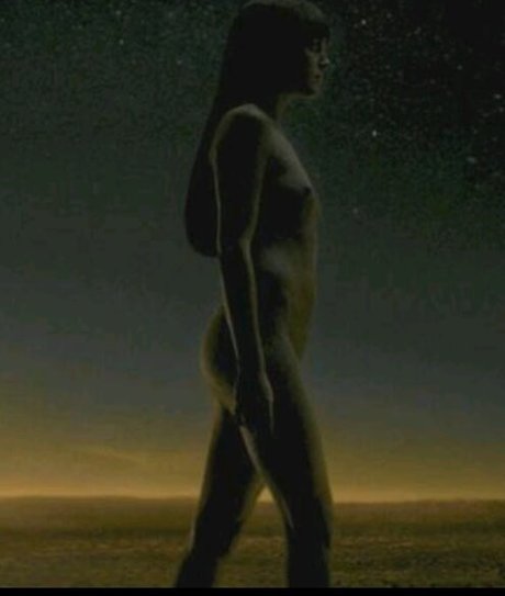 Malin Akerman star xxx pictures