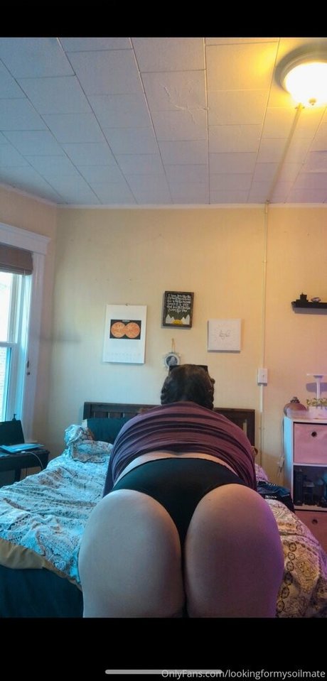 lookingformysoilmate Quick model image