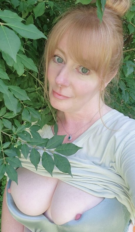 thenewgingercoug nice star galleries