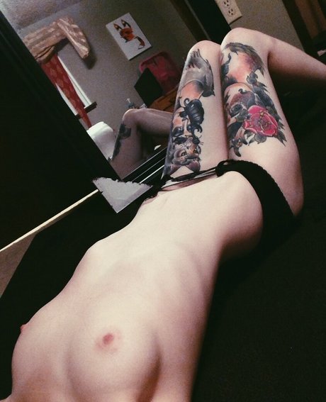 Witchfern star hd images