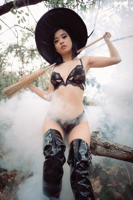 Dxgxmii best model archive