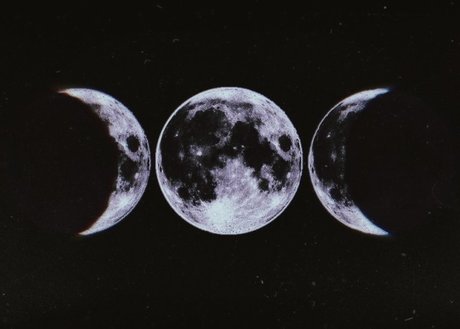 Freya Marcellina model sex pictures