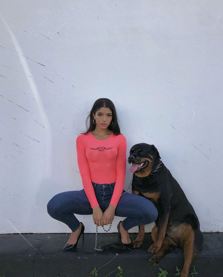 Yovanna Ventura star art image