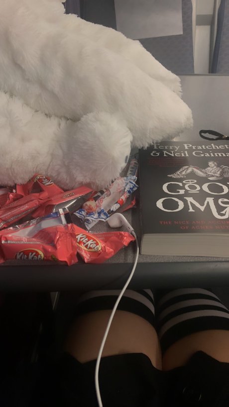 Jilan perfect star archive