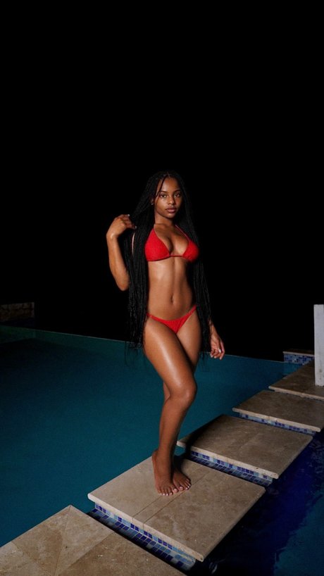 Ldndrygin model picture