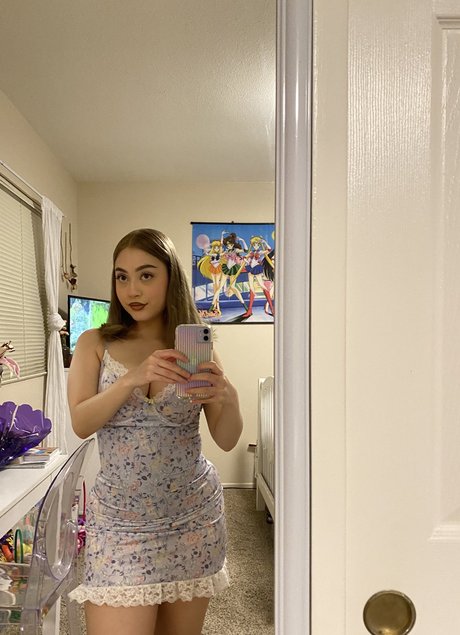 Stace best model images