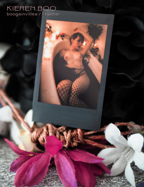 Boogainvillea sex model archive