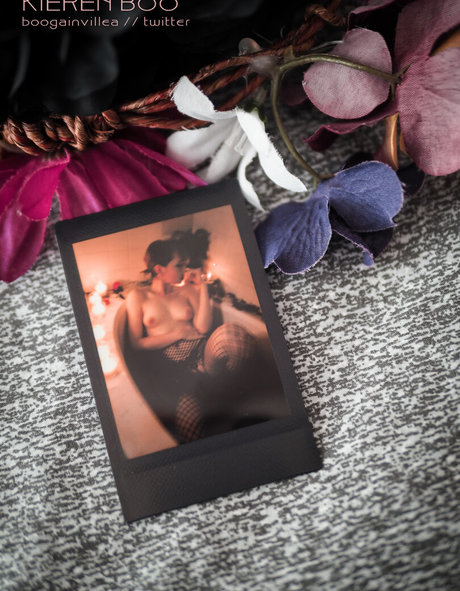 Boogainvillea star high quality photo