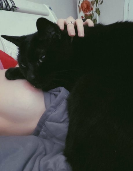 Boogainvillea actress photos