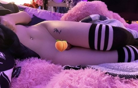 Boogainvillea model free images