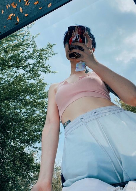 Boogainvillea hd star pic