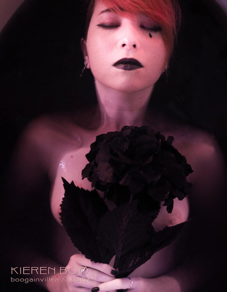 Boogainvillea art star photos