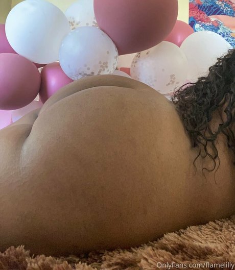 flamelilly star beautiful photos