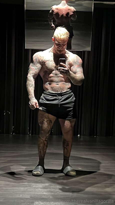 Therealvanillagorilla sex star img