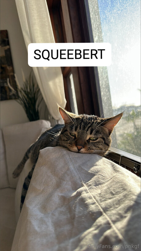 Pnkgf naked pornstar pictures