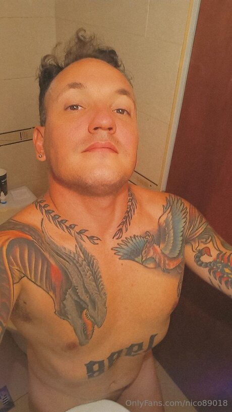Nico89018 pornographic star img
