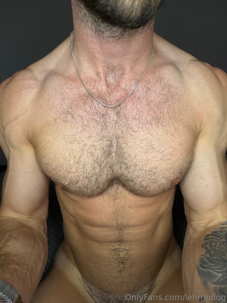 Lehmodog star nice images