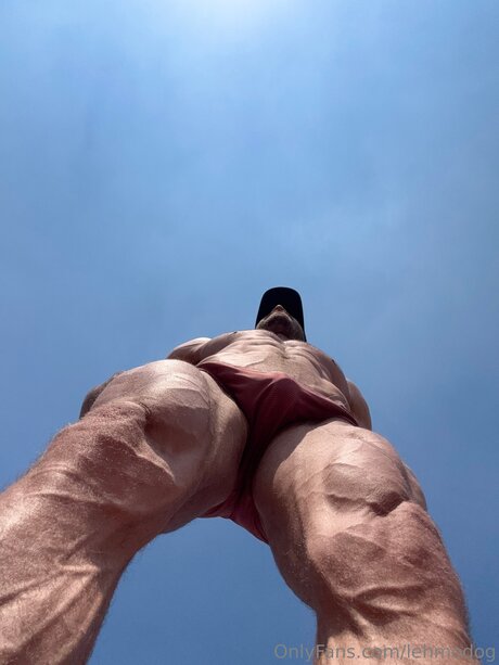 Lehmodog free pornstar picture