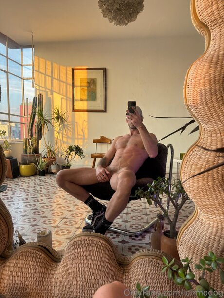 Lehmodog pornstar high quality images