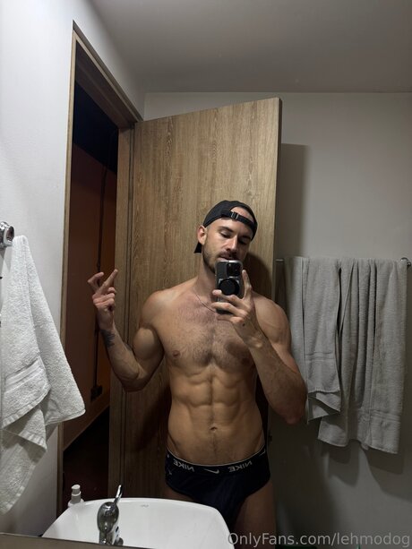 Lehmodog free pornstar gallery