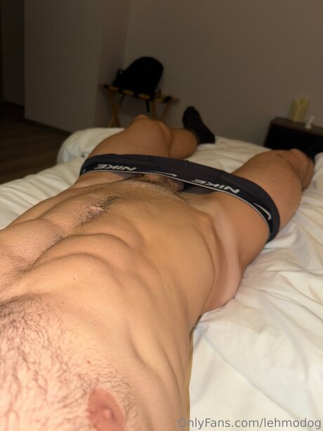 Lehmodog beautiful actress pictures