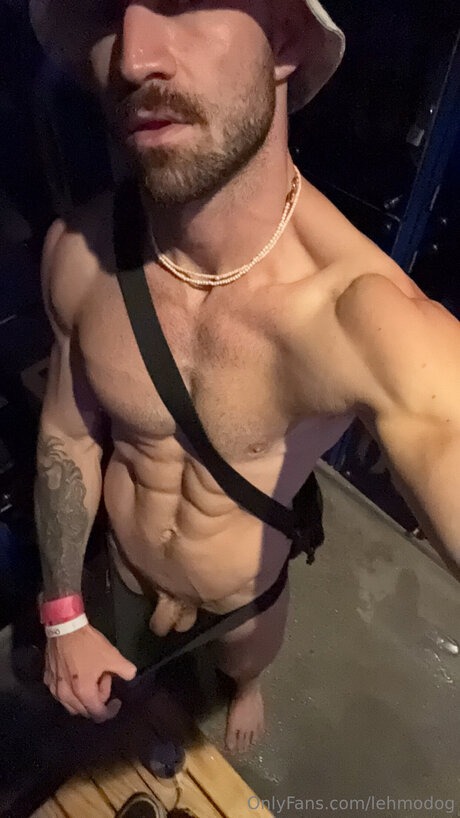 Lehmodog star top image