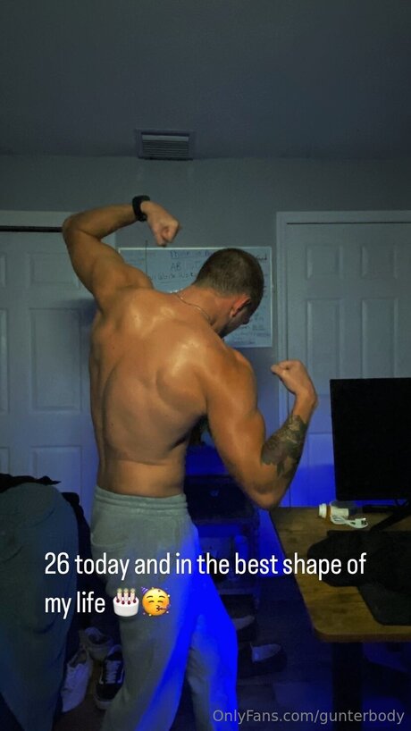 Gunterbody model pretty picture