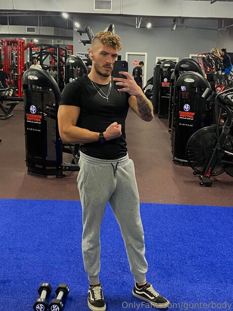 Gunterbody model art picture