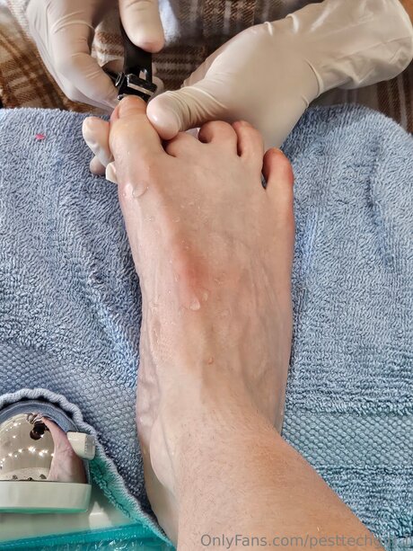 Pesttechgirl 1 high quality star pictures