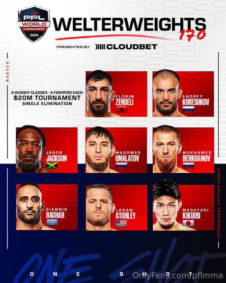 Pflmma art model images