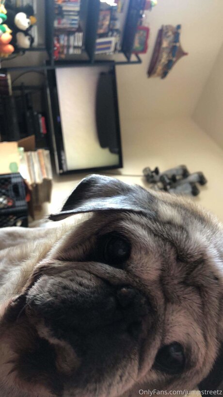 Jumpstreetz nice model pictures