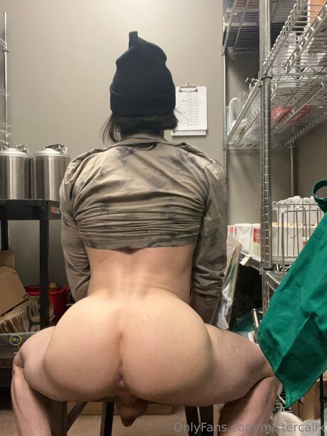 Mistercalix perfect star gallery