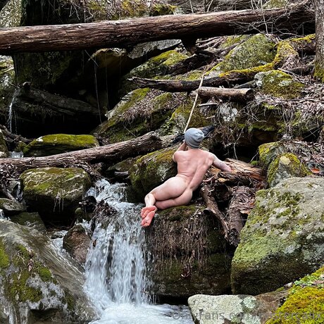 Mistercalix Quick model image