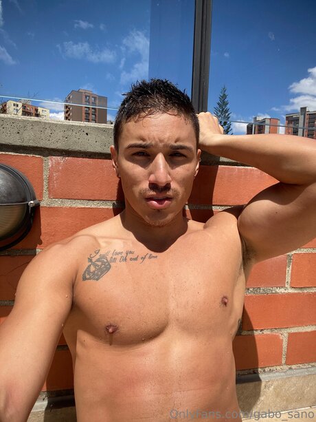 Gabo Sano1 pornstar sex galleries