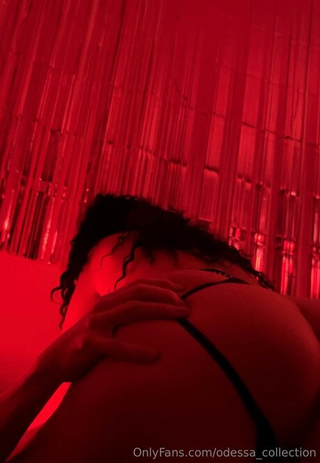 Odessa Collection pornstar photo