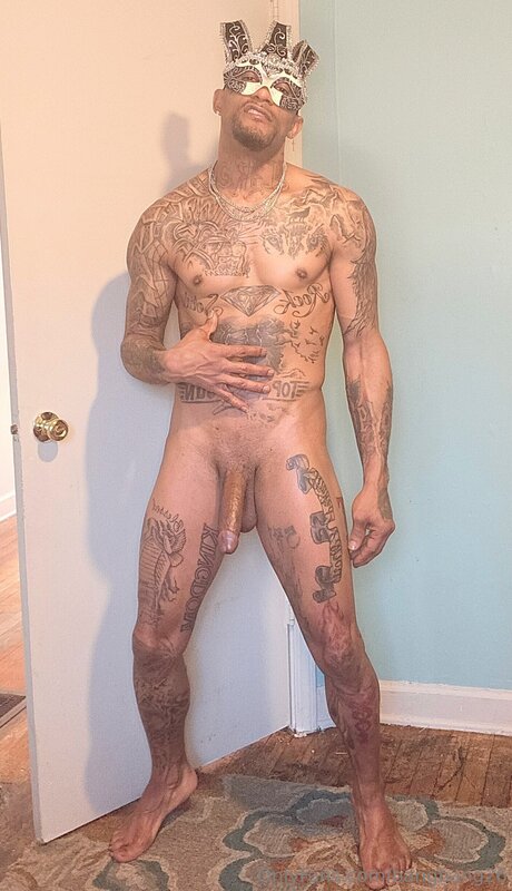 Bangbang26 high quality pornstar pictures