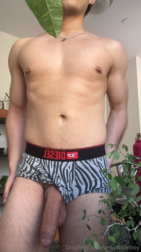 Uncutlatinboy art pornstar images